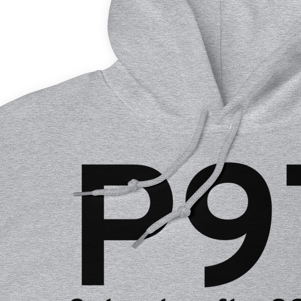 Schoolcraft (P97) Airport Hoodie Sweatshirt 