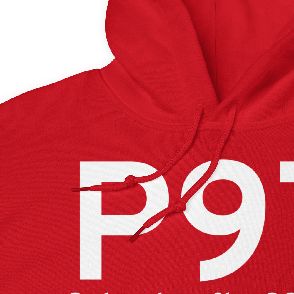 Schoolcraft (P97) Airport Hoodie Sweatshirt 