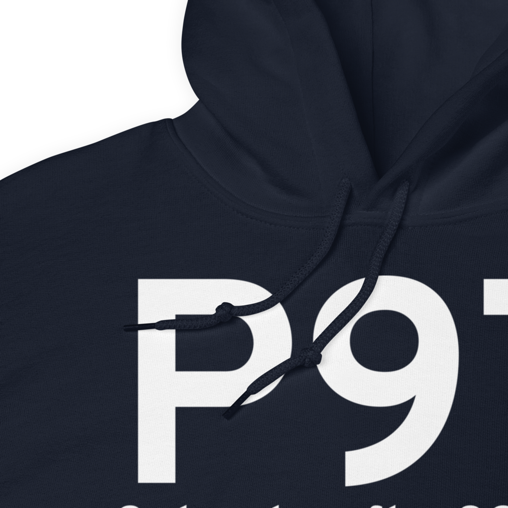 Schoolcraft (P97) Airport Hoodie Sweatshirt 