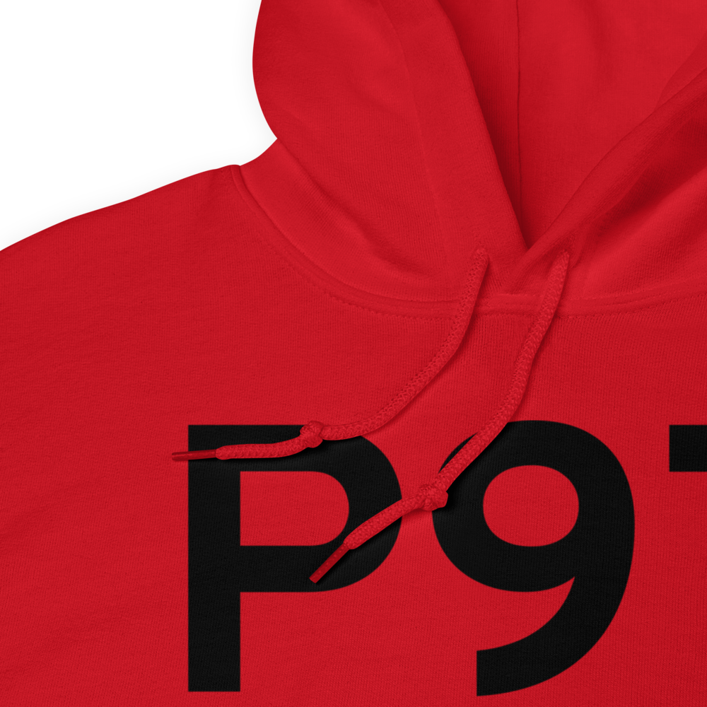 Schoolcraft (P97) Airport Hoodie Sweatshirt 