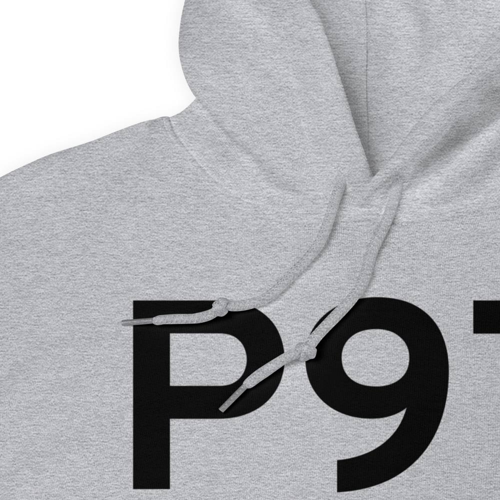 Schoolcraft (P97) Airport Hoodie Sweatshirt 