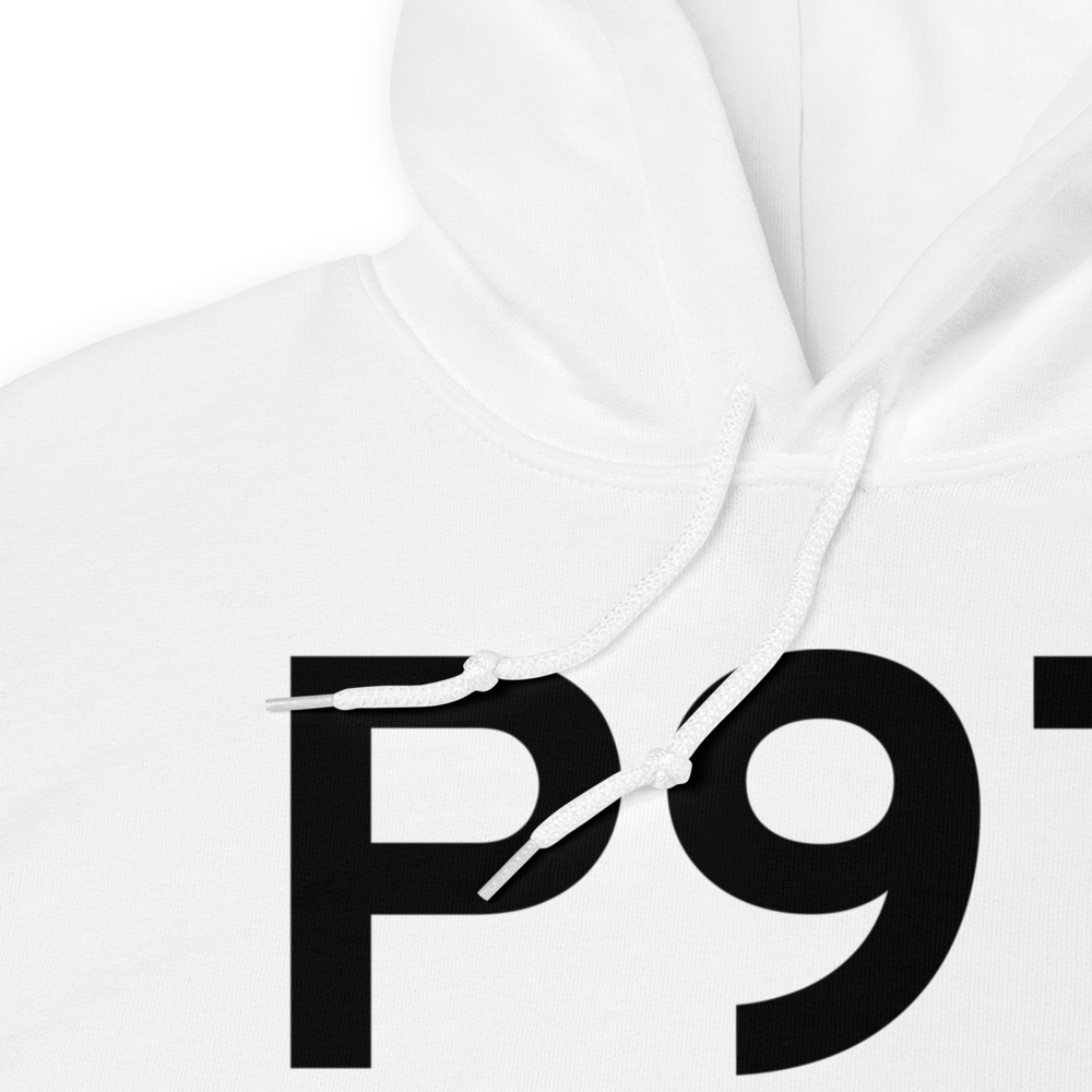 Schoolcraft (P97) Airport Hoodie Sweatshirt 