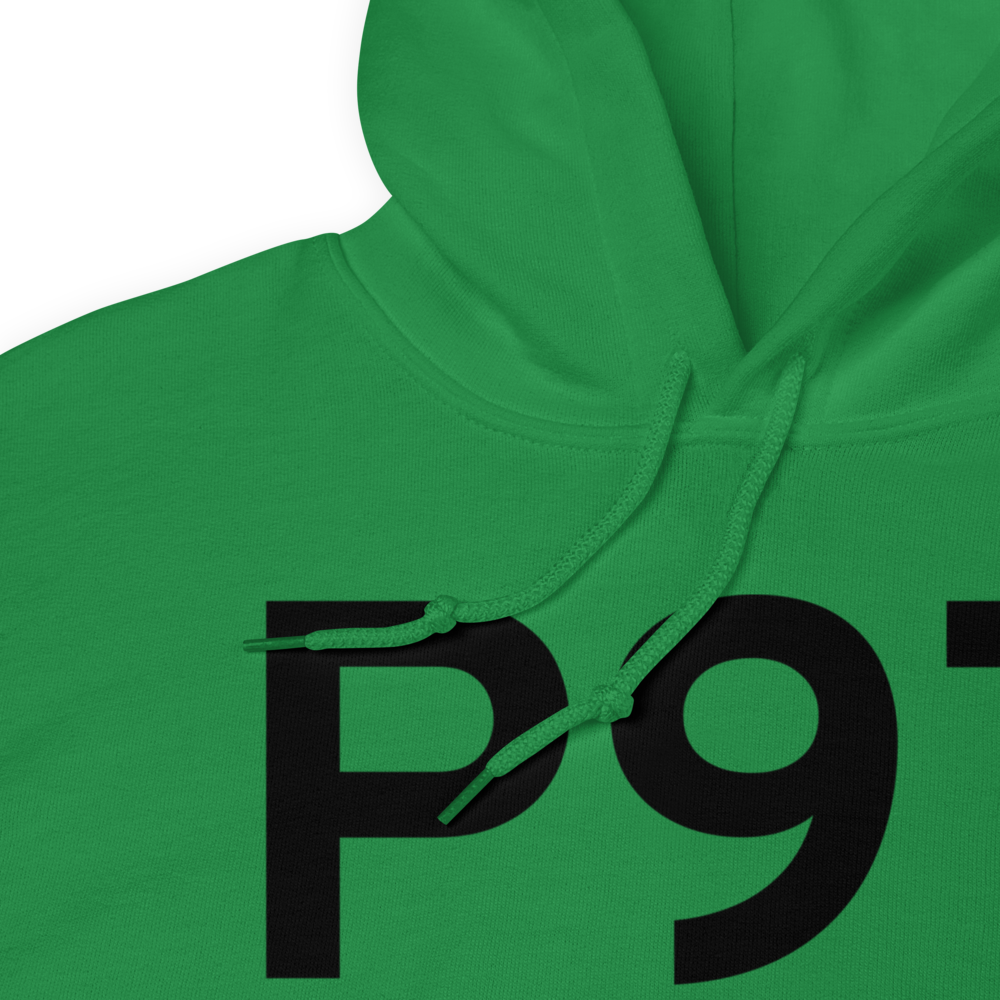 Schoolcraft (P97) Airport Hoodie Sweatshirt 