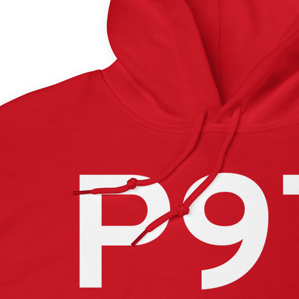 Schoolcraft (P97) Airport Hoodie Sweatshirt 