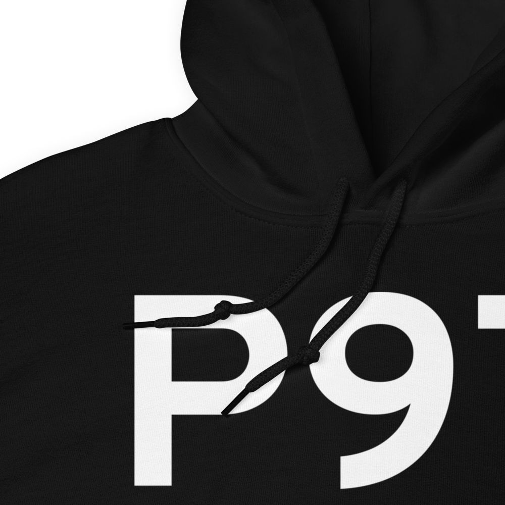 Schoolcraft (P97) Airport Hoodie Sweatshirt 