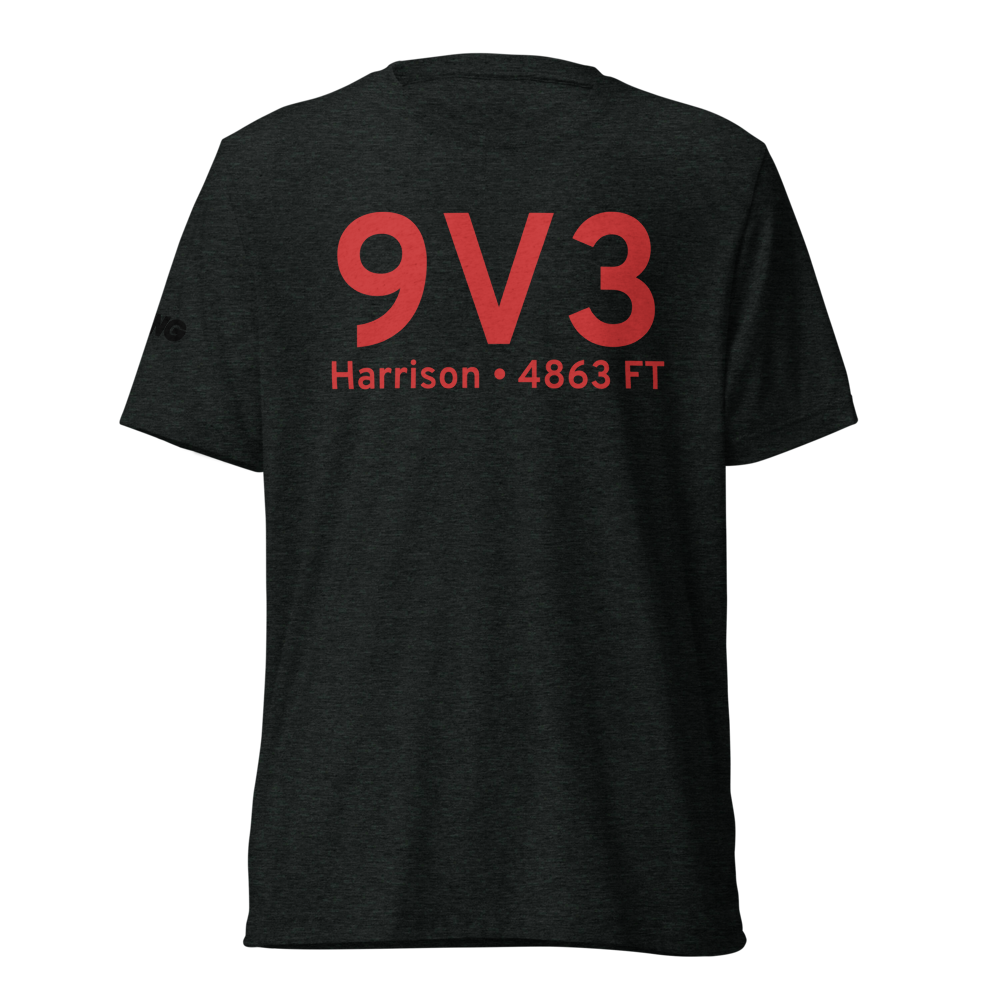 Harrison (9V3) Airport Tri-blend T-Shirt 