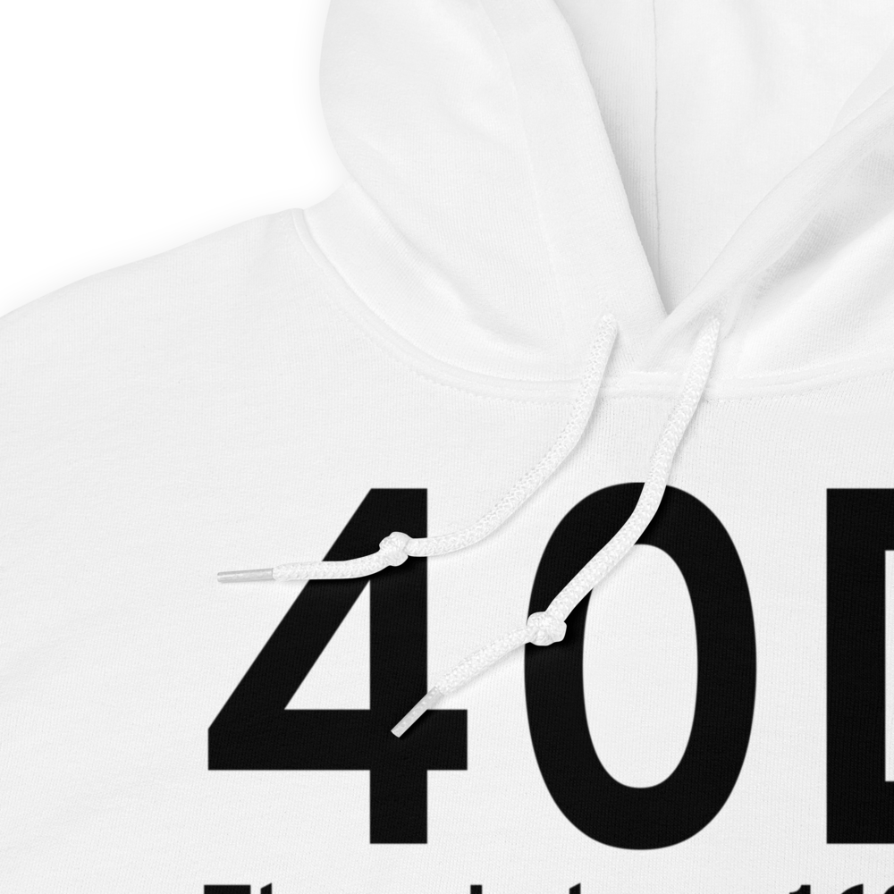 Three Lakes (40D) Airport Hoodie Sweatshirt 
