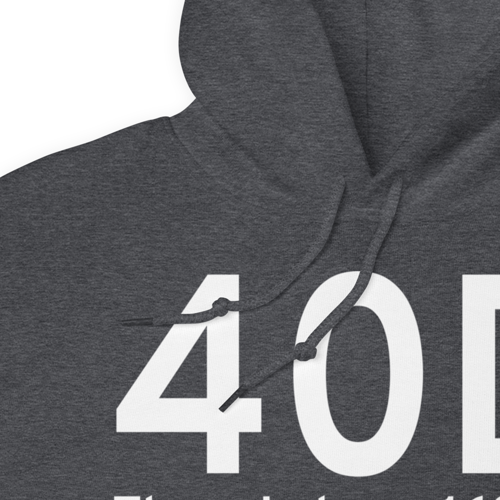 Three Lakes (40D) Airport Hoodie Sweatshirt 