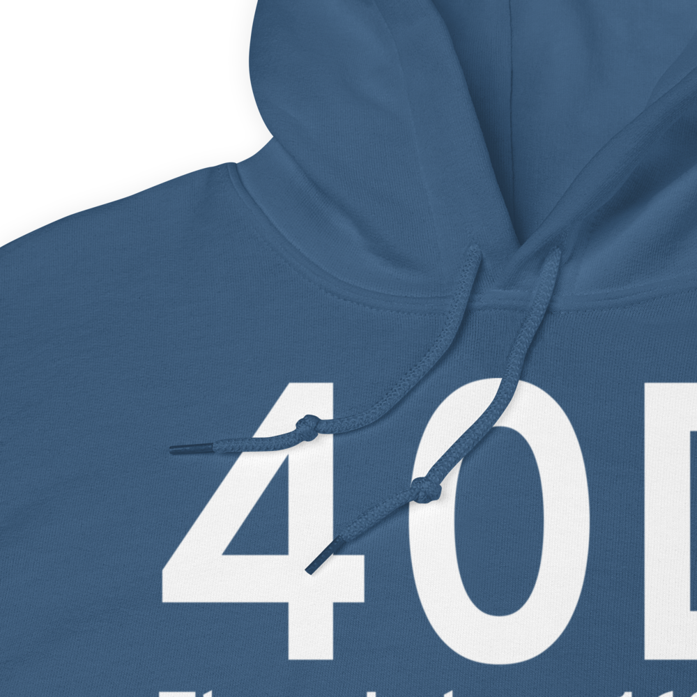 Three Lakes (40D) Airport Hoodie Sweatshirt 