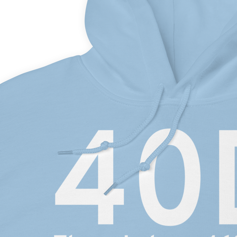 Three Lakes (40D) Airport Hoodie Sweatshirt 