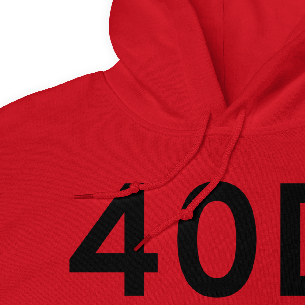 Three Lakes (40D) Airport Hoodie Sweatshirt 