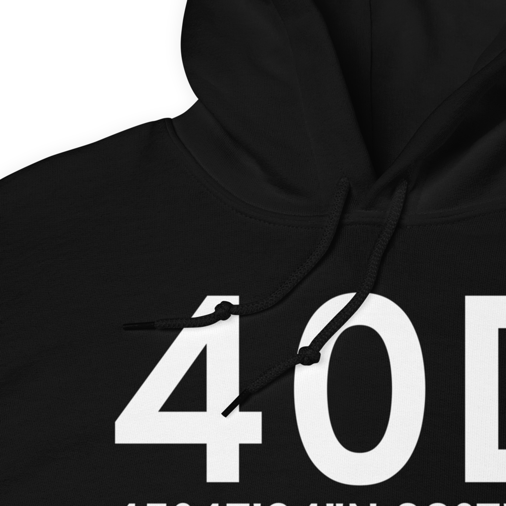 Three Lakes (40D) Airport Hoodie Sweatshirt 