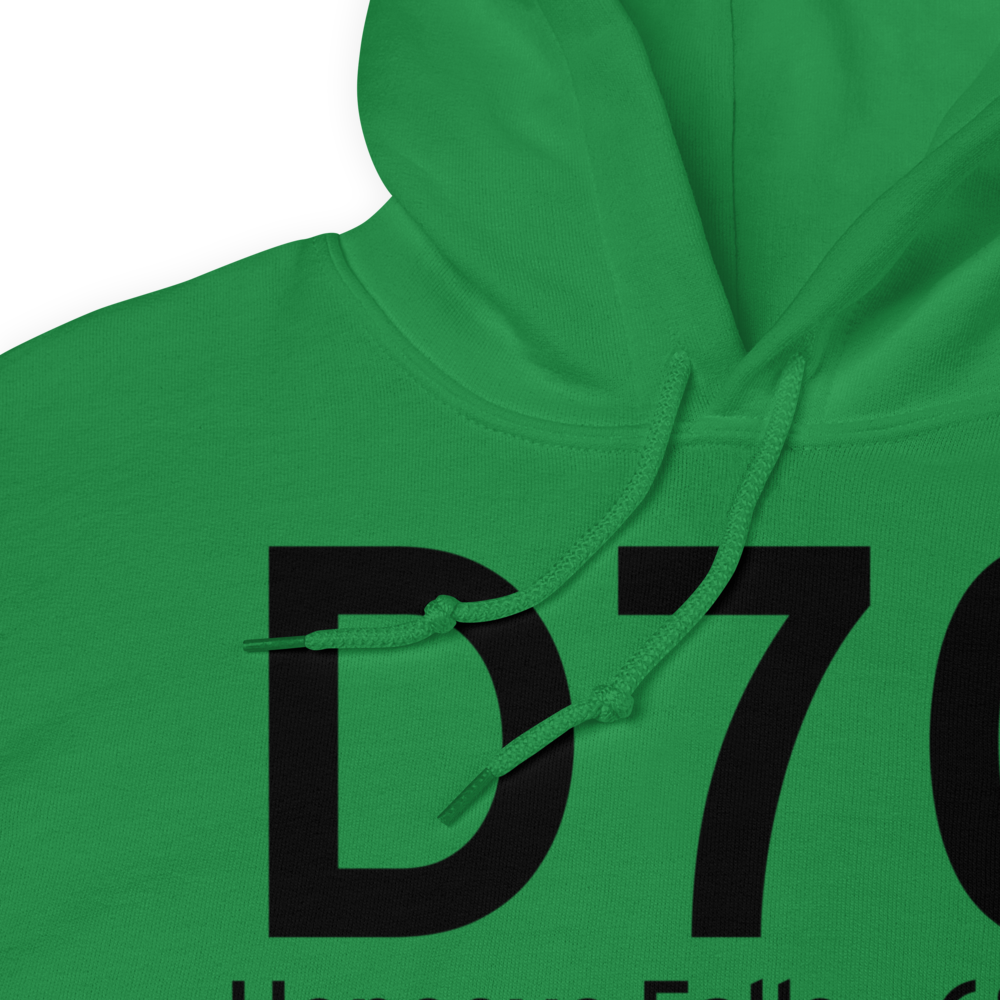 Honeoye Falls (D70) Airport Hoodie Sweatshirt 