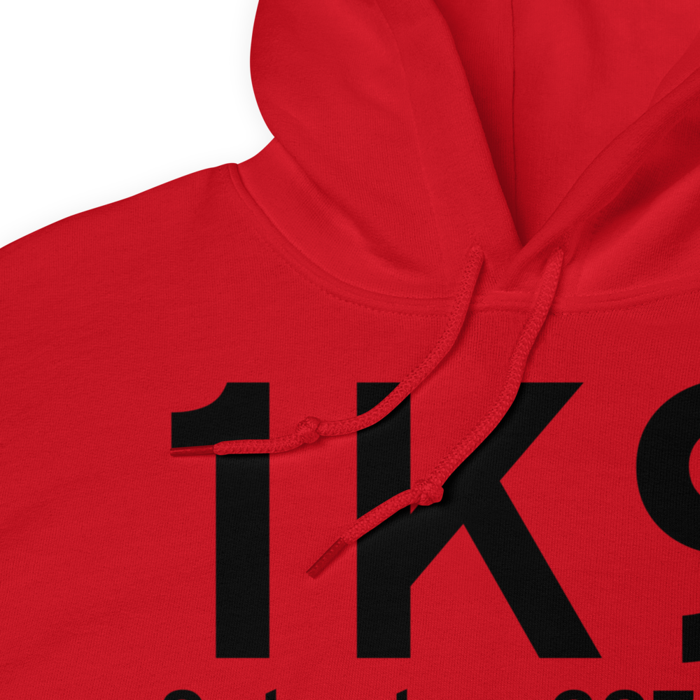 Satanta (K1K9) Airport Hoodie Sweatshirt 