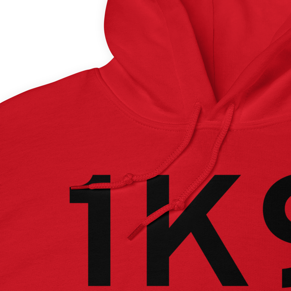 Satanta (K1K9) Airport Hoodie Sweatshirt 