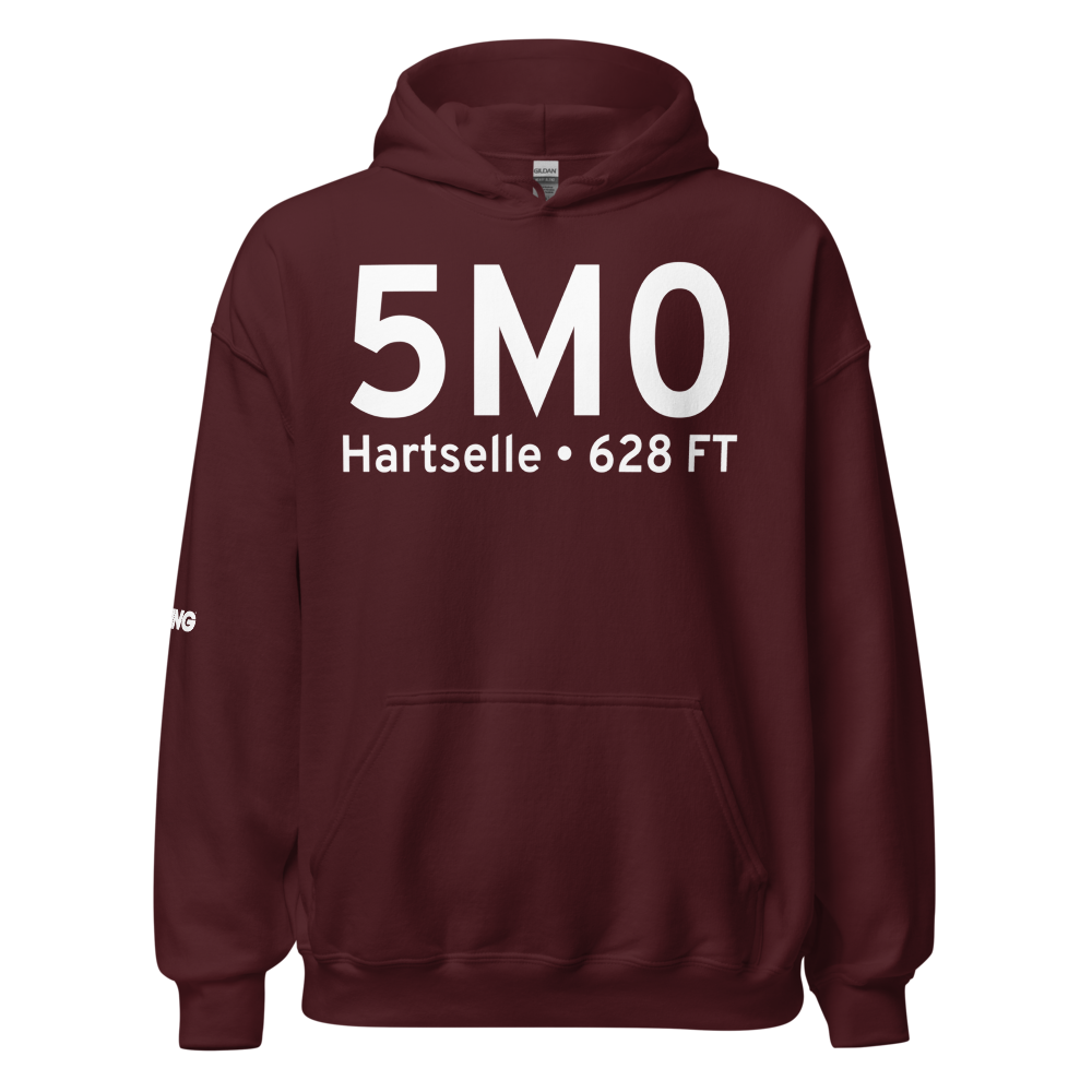 Hartselle (K5M0) Airport Hoodie Sweatshirt 