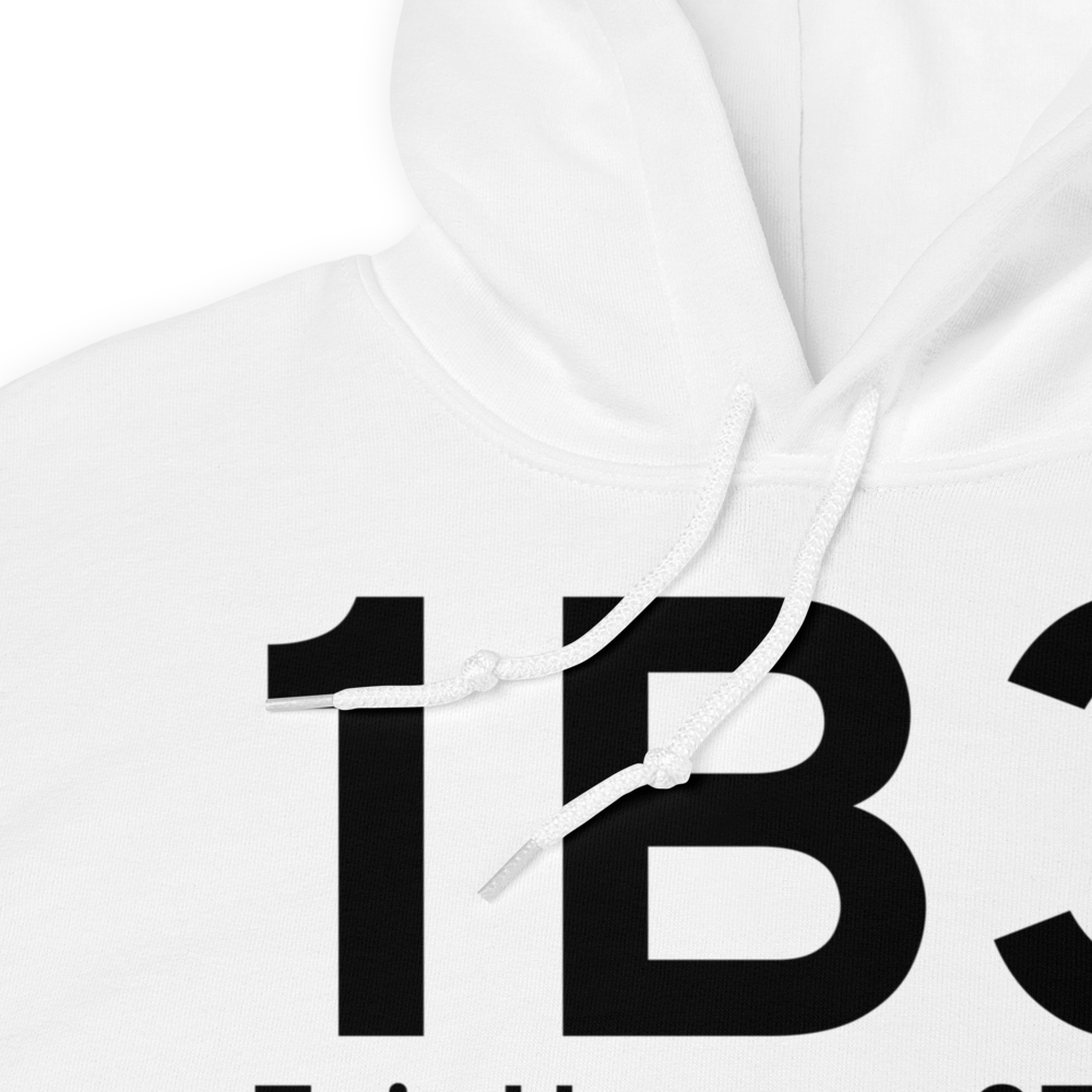 Fair Haven (1B3) Airport Hoodie Sweatshirt 
