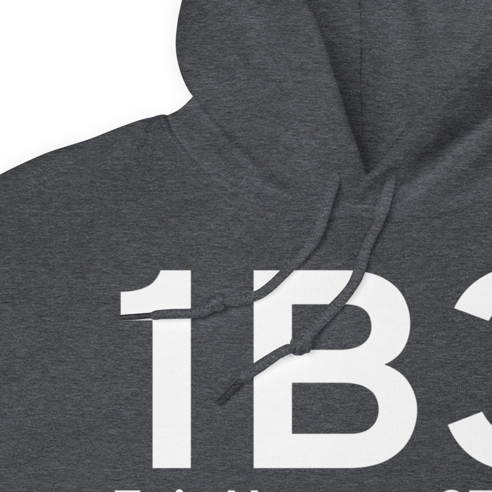 Fair Haven (1B3) Airport Hoodie Sweatshirt 