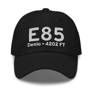 Denio (E85) Airport Hat