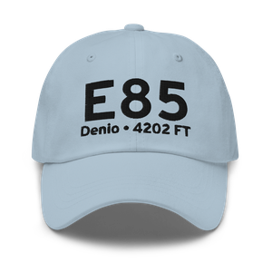 Denio (E85) Airport Hat
