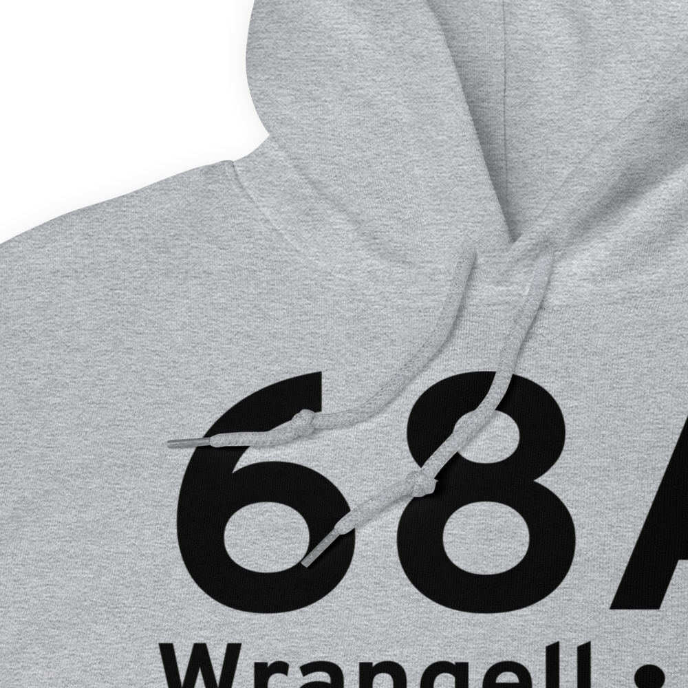Wrangell (68A) Airport Hoodie Sweatshirt 