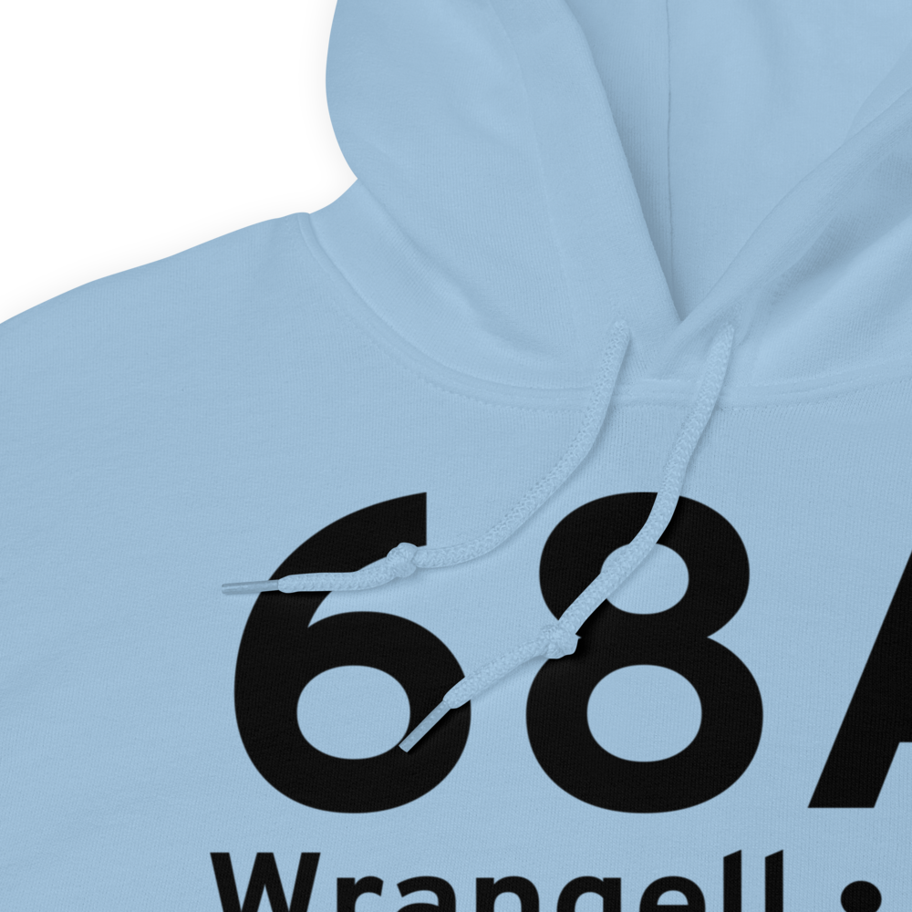 Wrangell (68A) Airport Hoodie Sweatshirt 