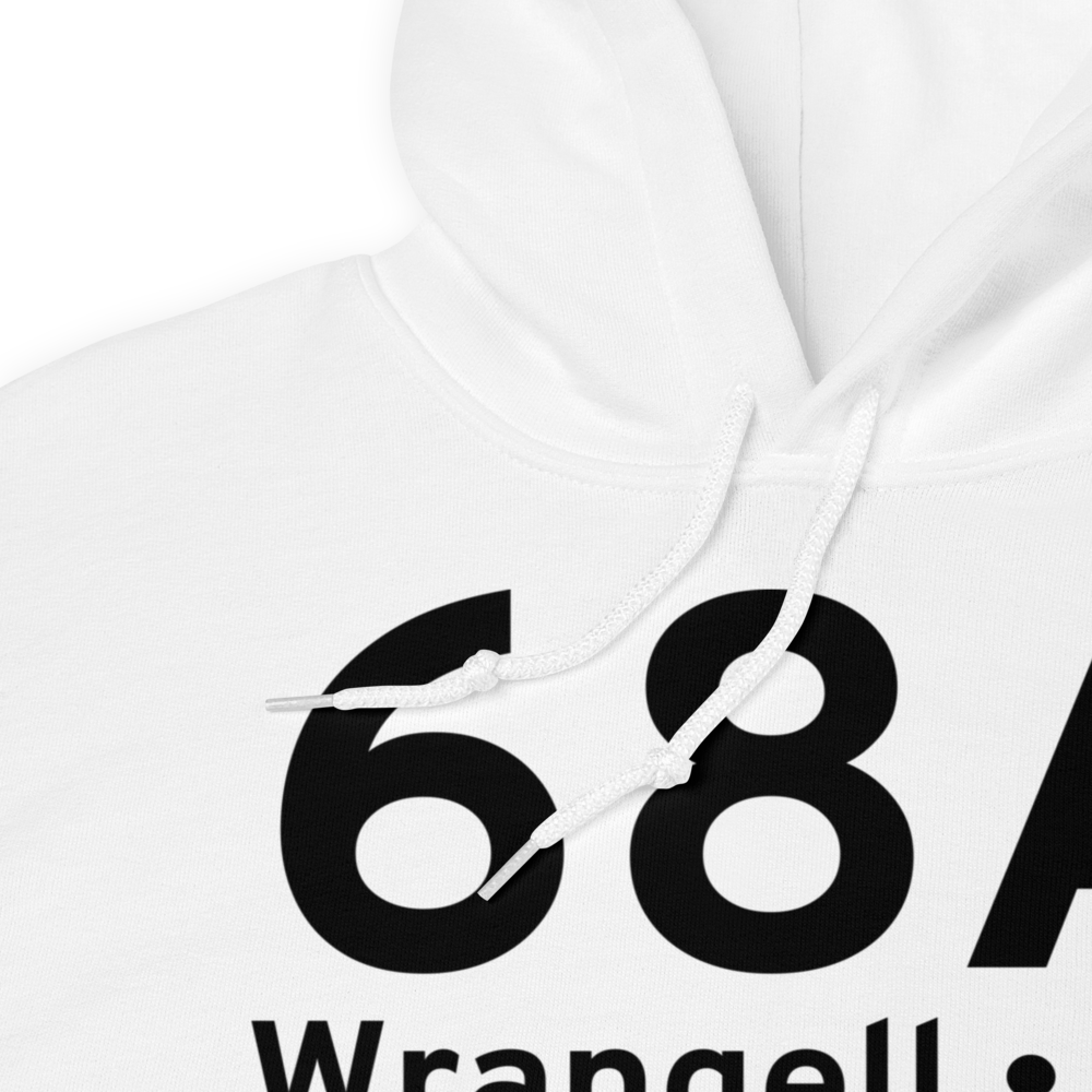 Wrangell (68A) Airport Hoodie Sweatshirt 