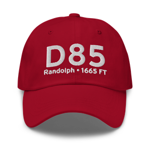 Randolph (D85) Airport Hat