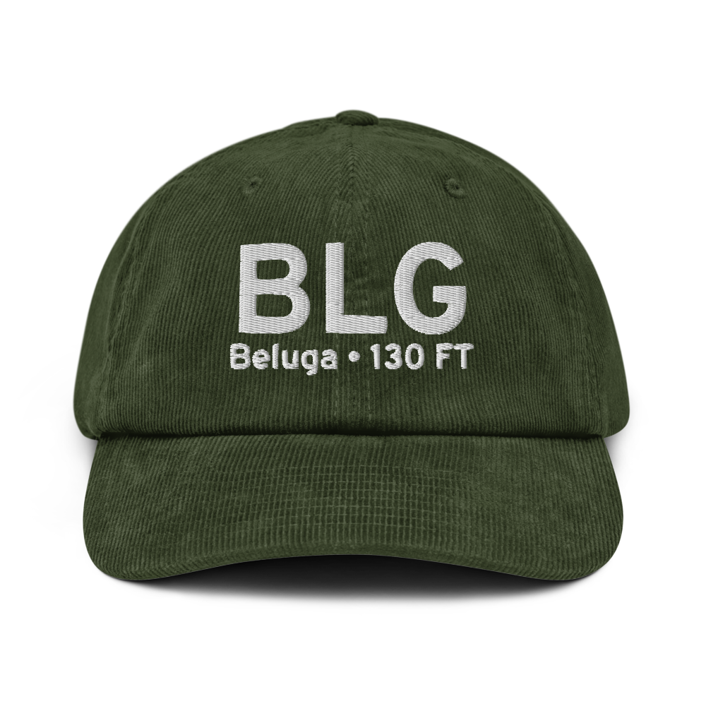Beluga (PABG) Airport Hat 