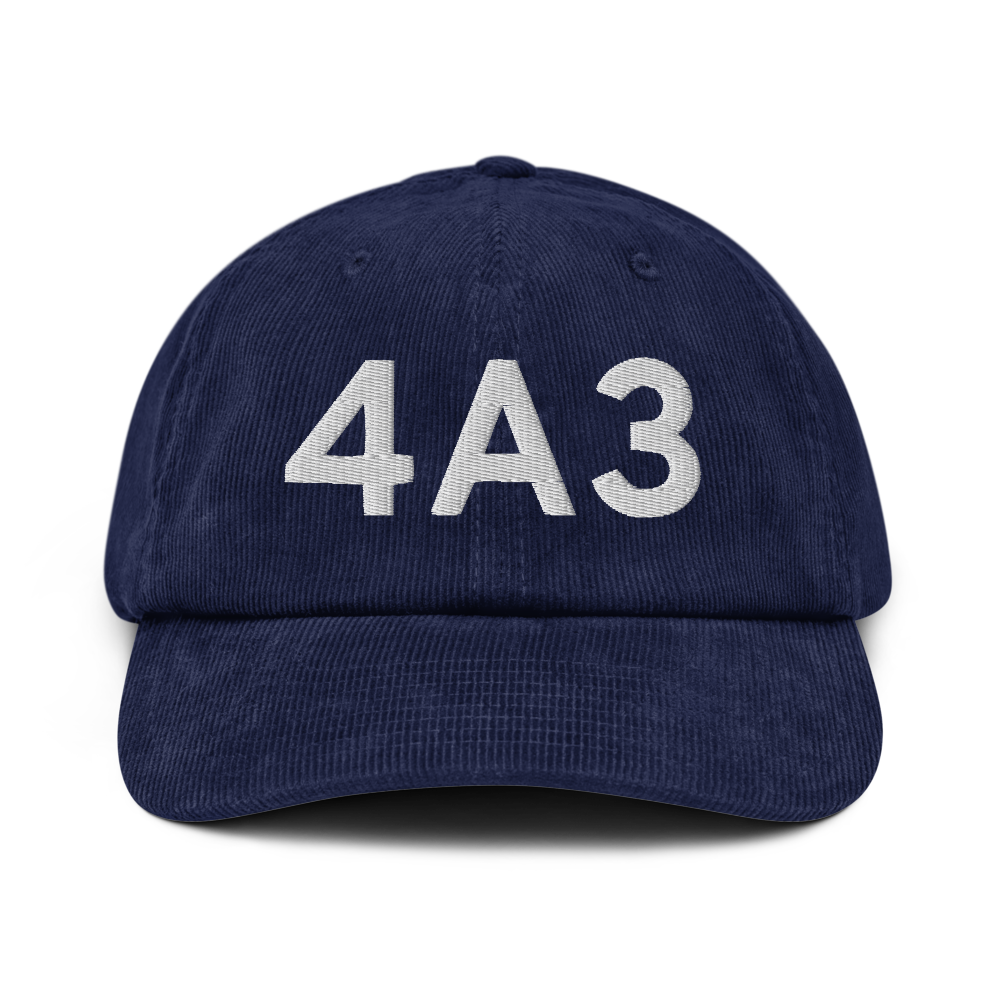 Wasilla (4A3) Airport Hat 