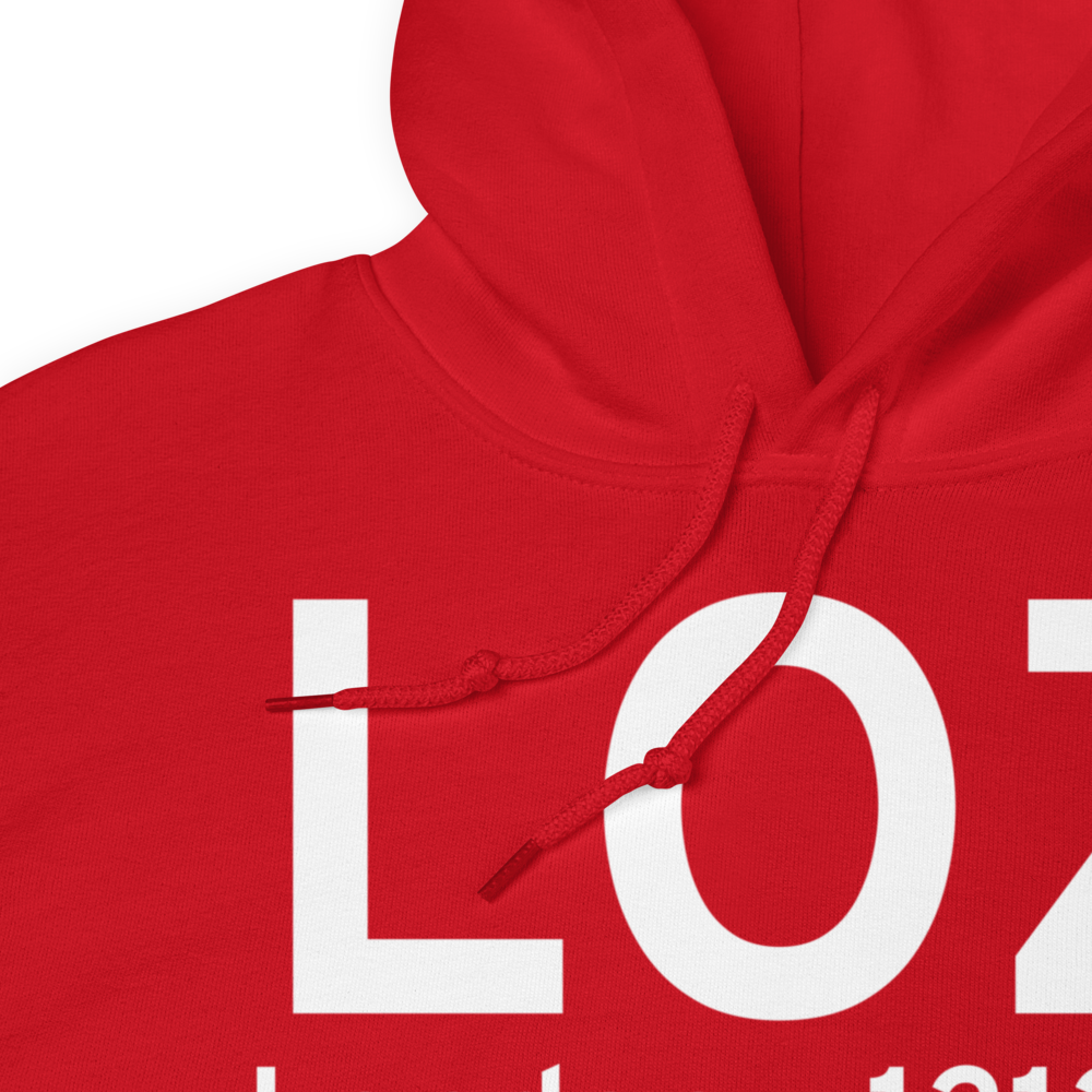 London (KLOZ) Airport Hoodie Sweatshirt 