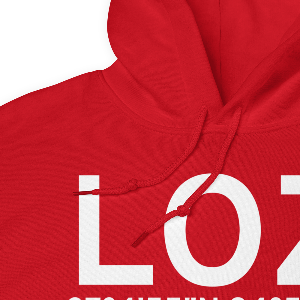 London (KLOZ) Airport Hoodie Sweatshirt 