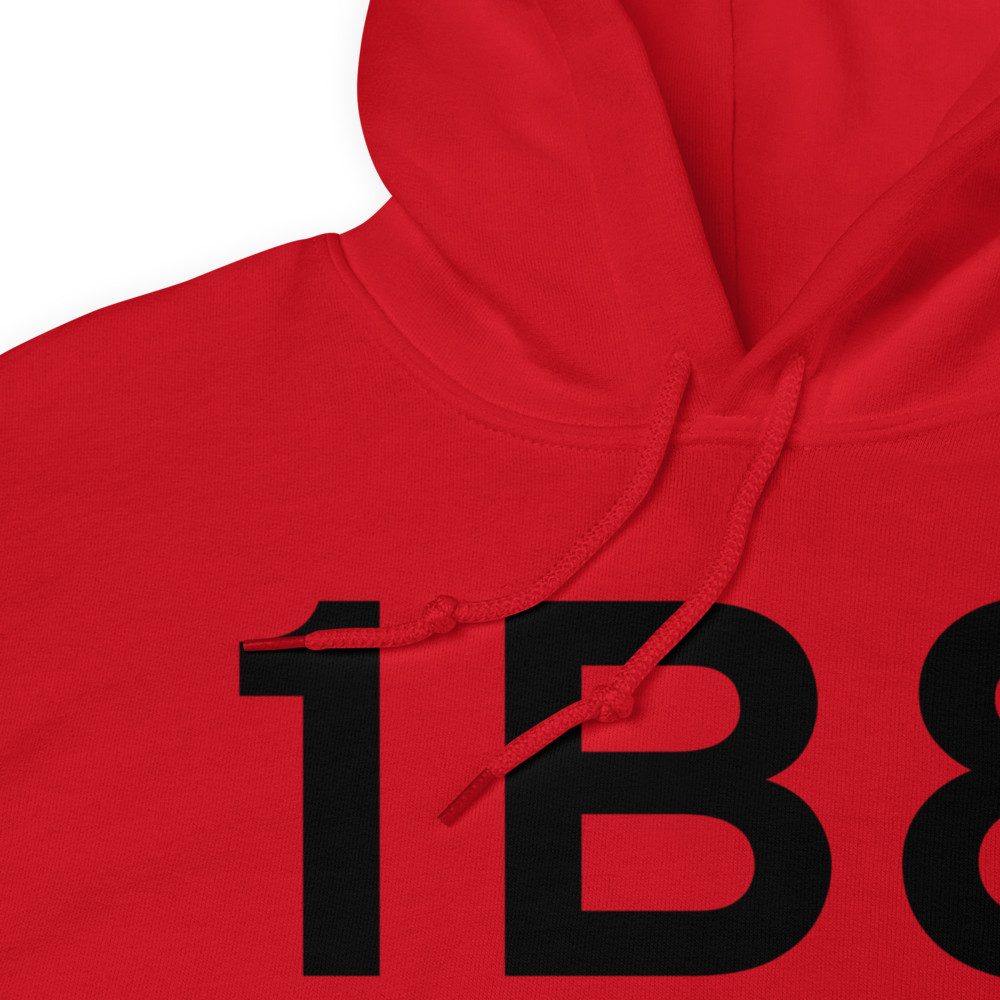 Cambridge (1B8) Airport Hoodie Sweatshirt 