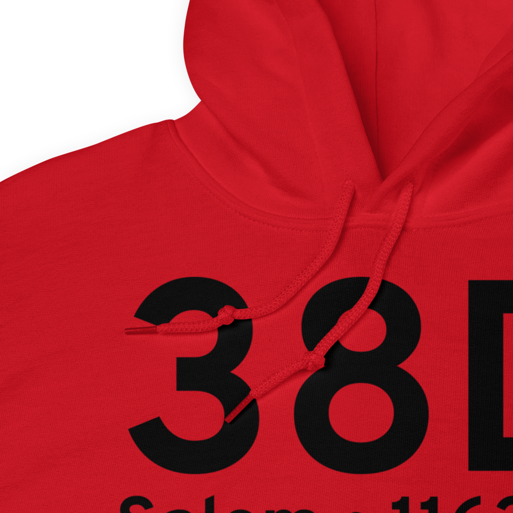 Salem (K38D) Airport Hoodie Sweatshirt 