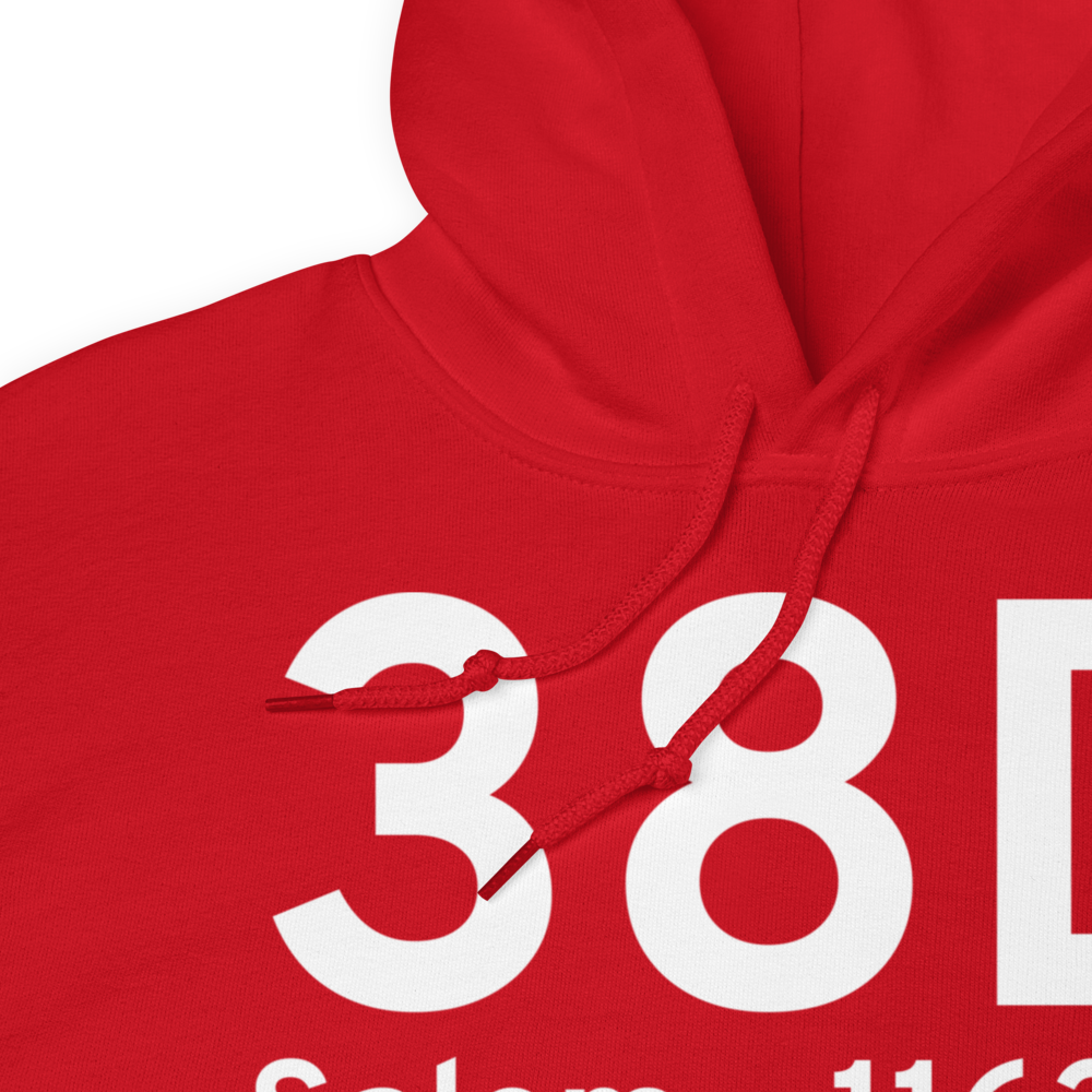 Salem (K38D) Airport Hoodie Sweatshirt 