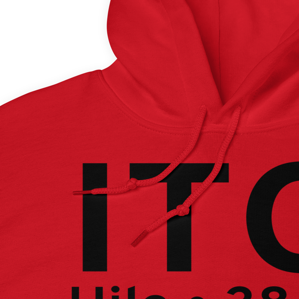 Hilo (PHTO) Airport Hoodie Sweatshirt 