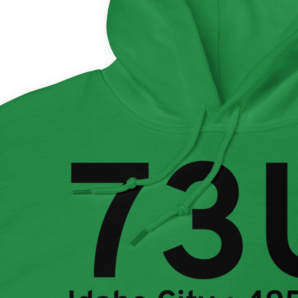 Idaho City (73U) Airport Hoodie Sweatshirt 