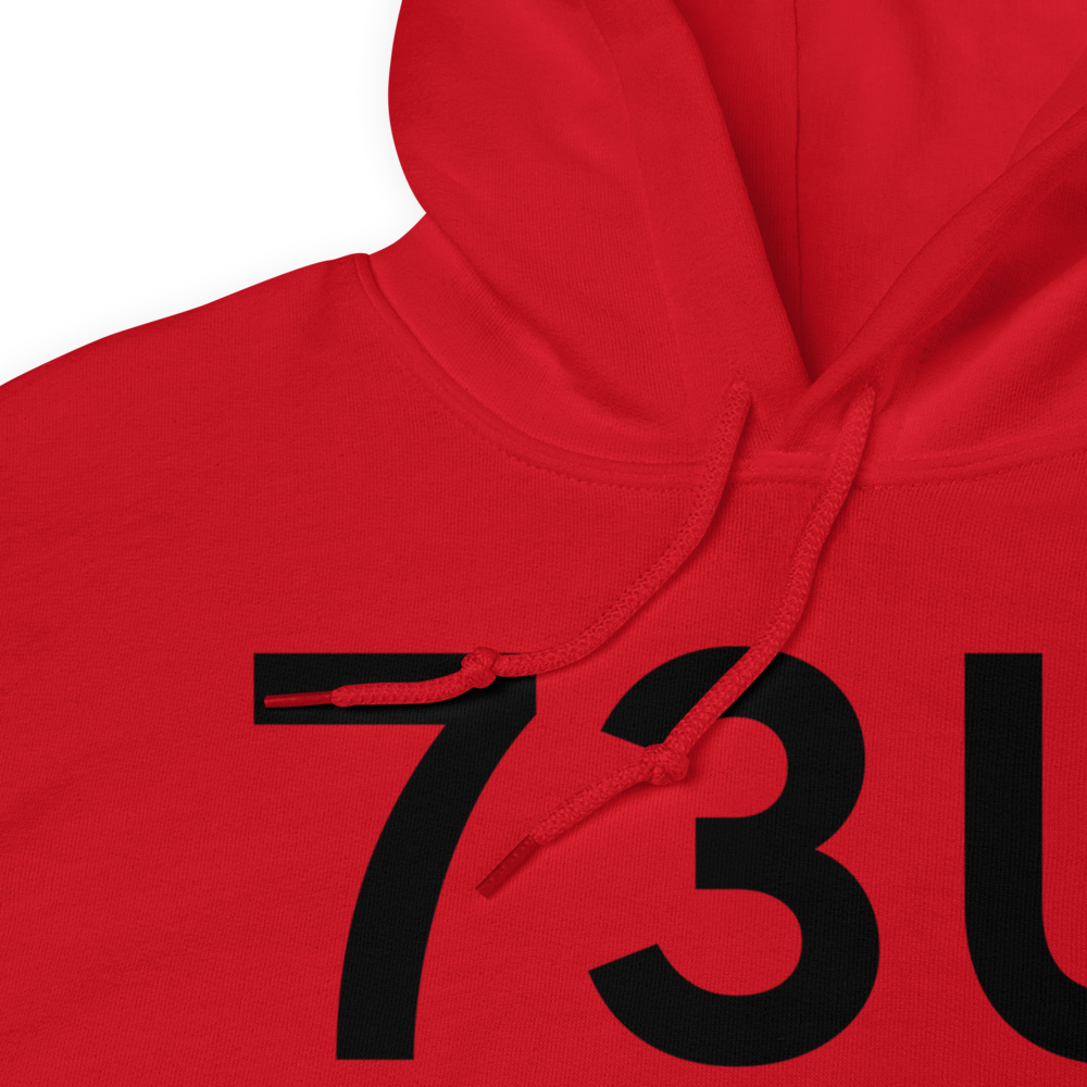 Idaho City (73U) Airport Hoodie Sweatshirt 