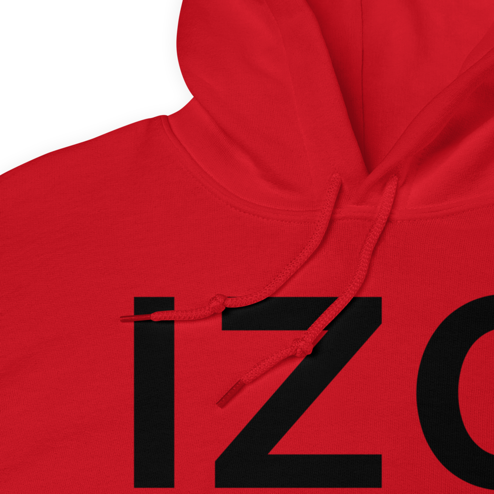 Fryeburg (KIZG) Airport Hoodie Sweatshirt 