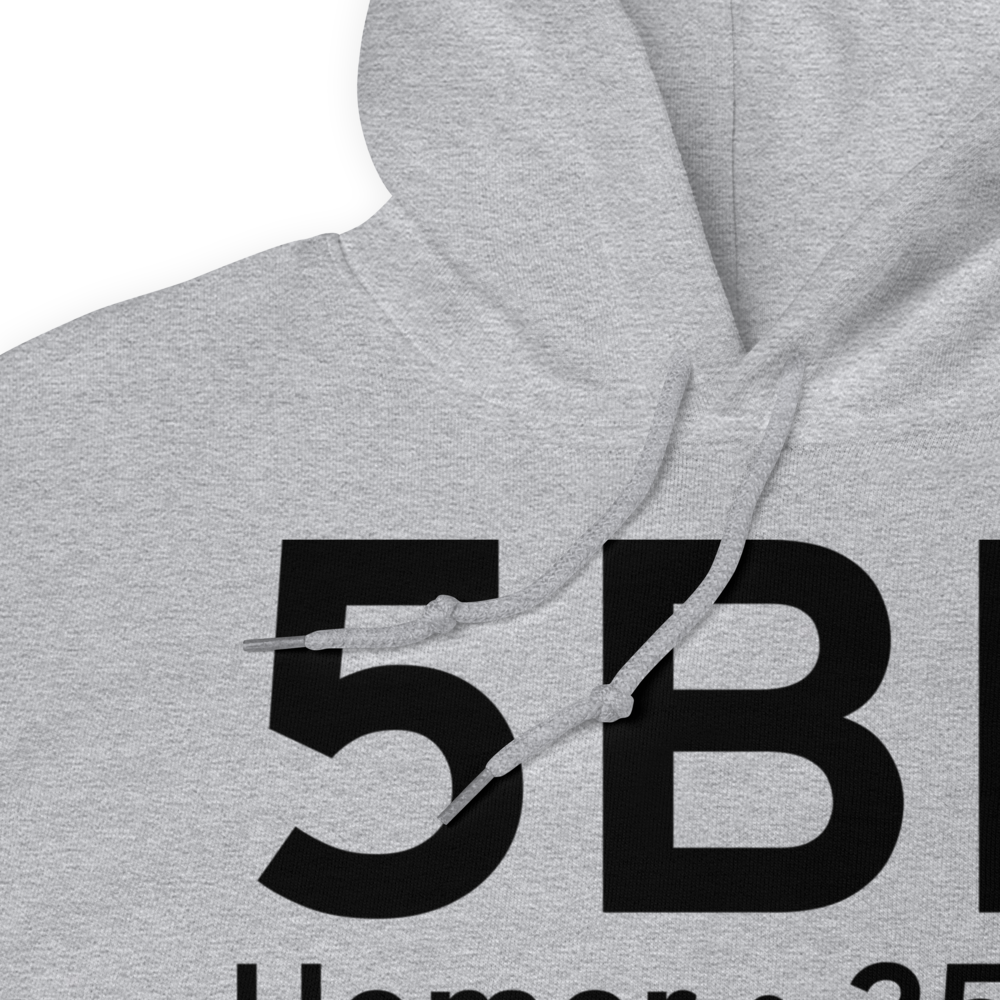 Homer (5BL) Airport Hoodie Sweatshirt 