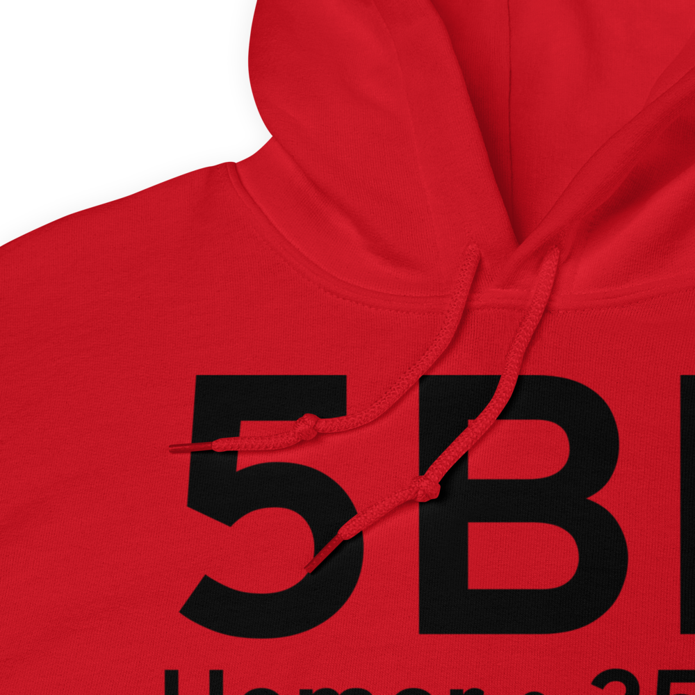 Homer (5BL) Airport Hoodie Sweatshirt 
