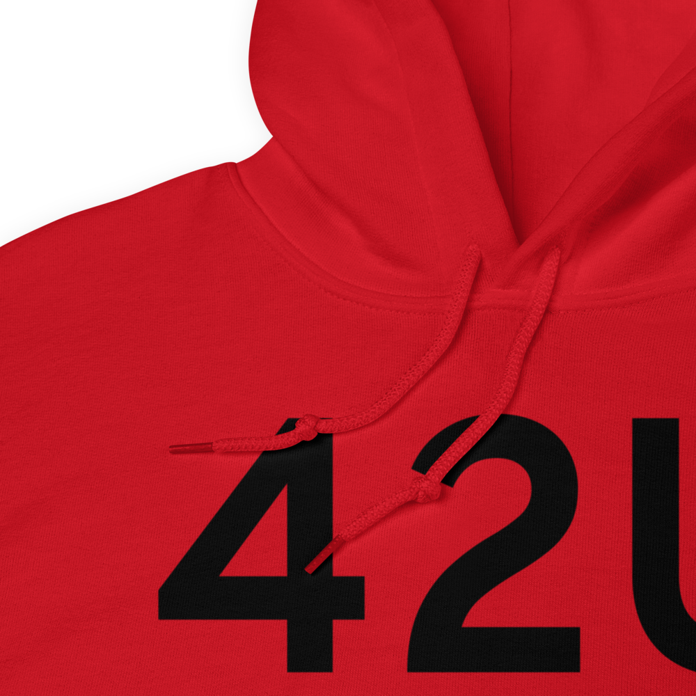 Morgan (K42U) Airport Hoodie Sweatshirt 