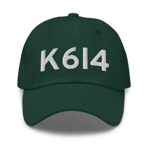 Boone County Airport (K6I4) ICAO Hat