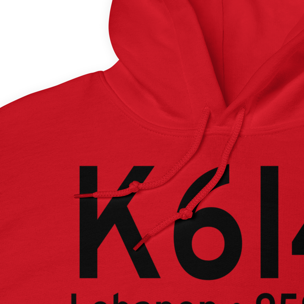 Boone County Airport (K6I4) ICAO Hoodie Sweatshirt 