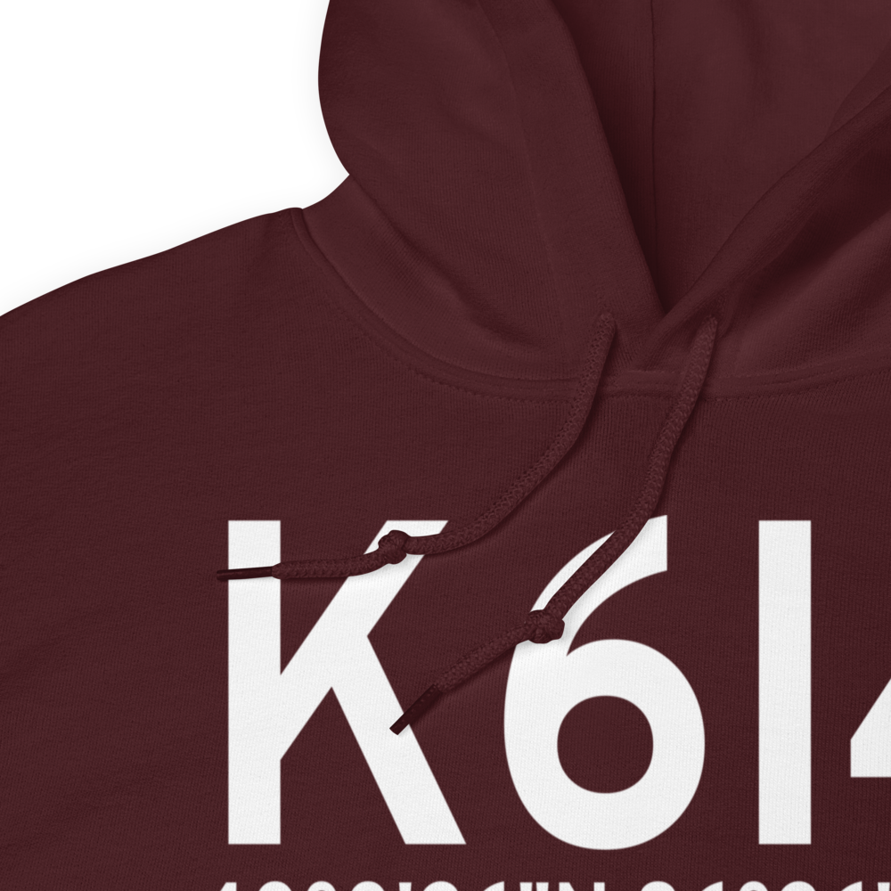 Boone County Airport (K6I4) ICAO Hoodie Sweatshirt 