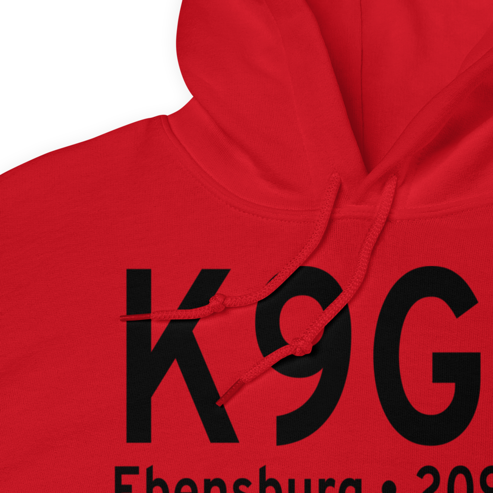 Ebensburg Airport (K9G8) ICAO Hoodie Sweatshirt 