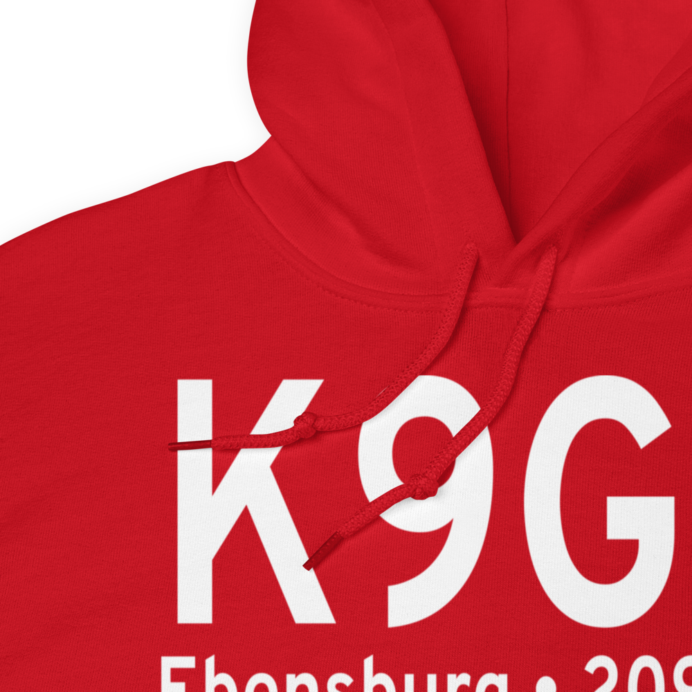 Ebensburg Airport (K9G8) ICAO Hoodie Sweatshirt 
