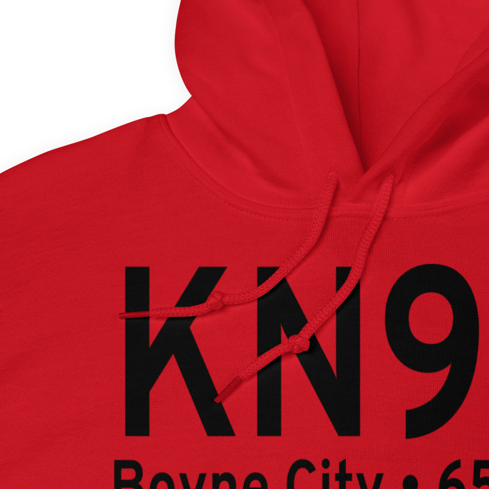 Boyne City Municipal Airport (KN98) ICAO Hoodie Sweatshirt 
