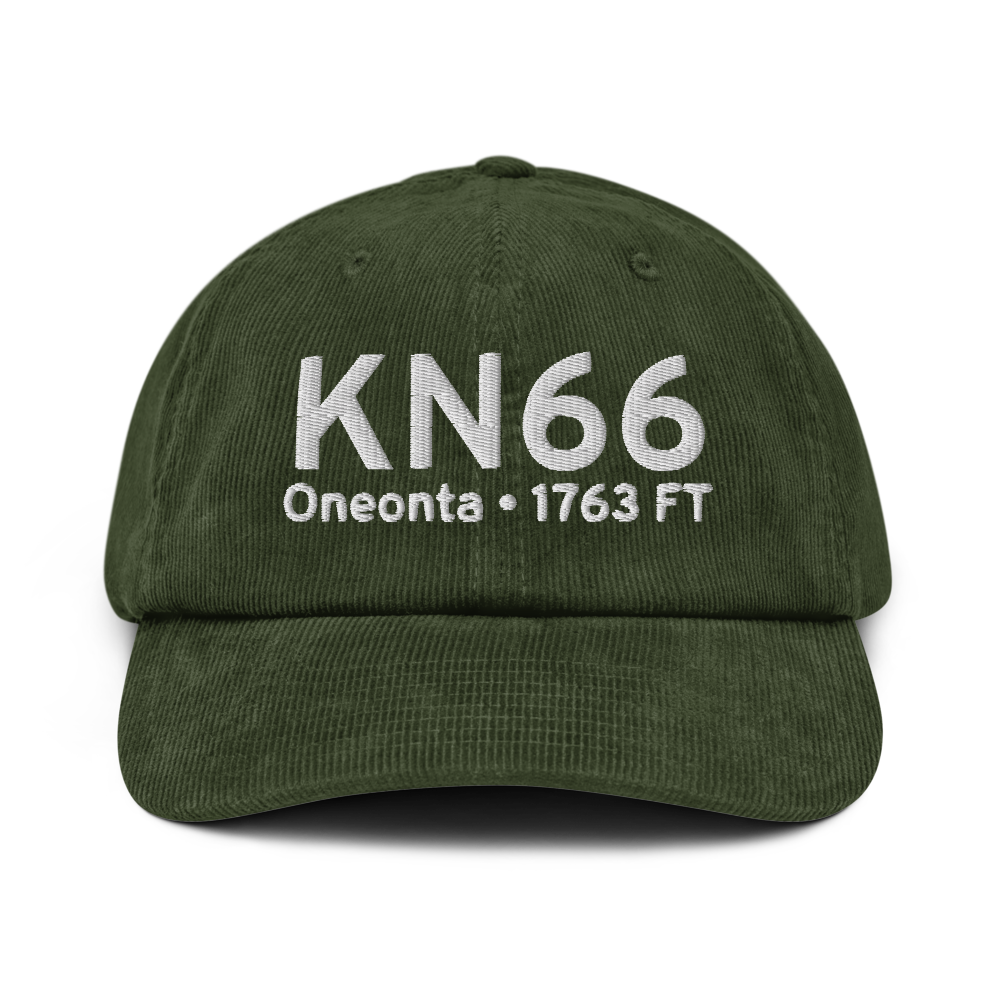 Oneonta Municipal Airport (KN66) ICAO Hat 