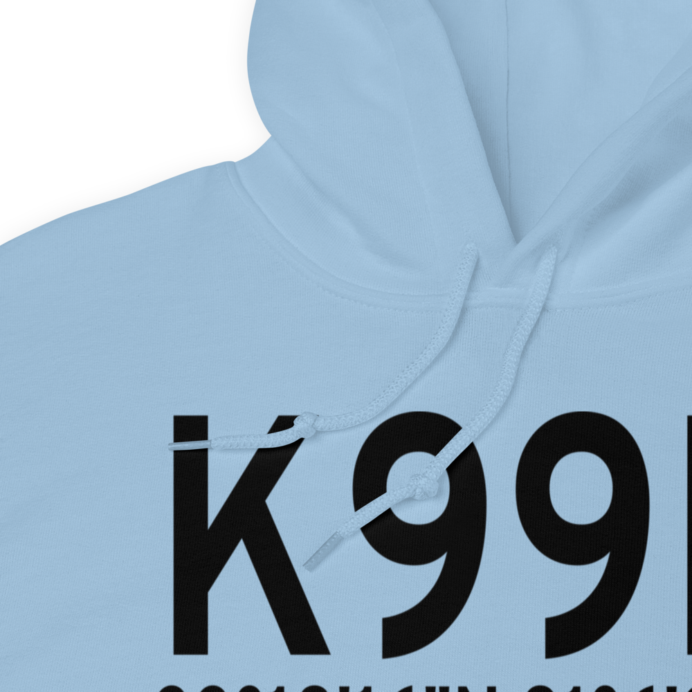 Bamberg County Airport (K99N) ICAO Hoodie Sweatshirt 
